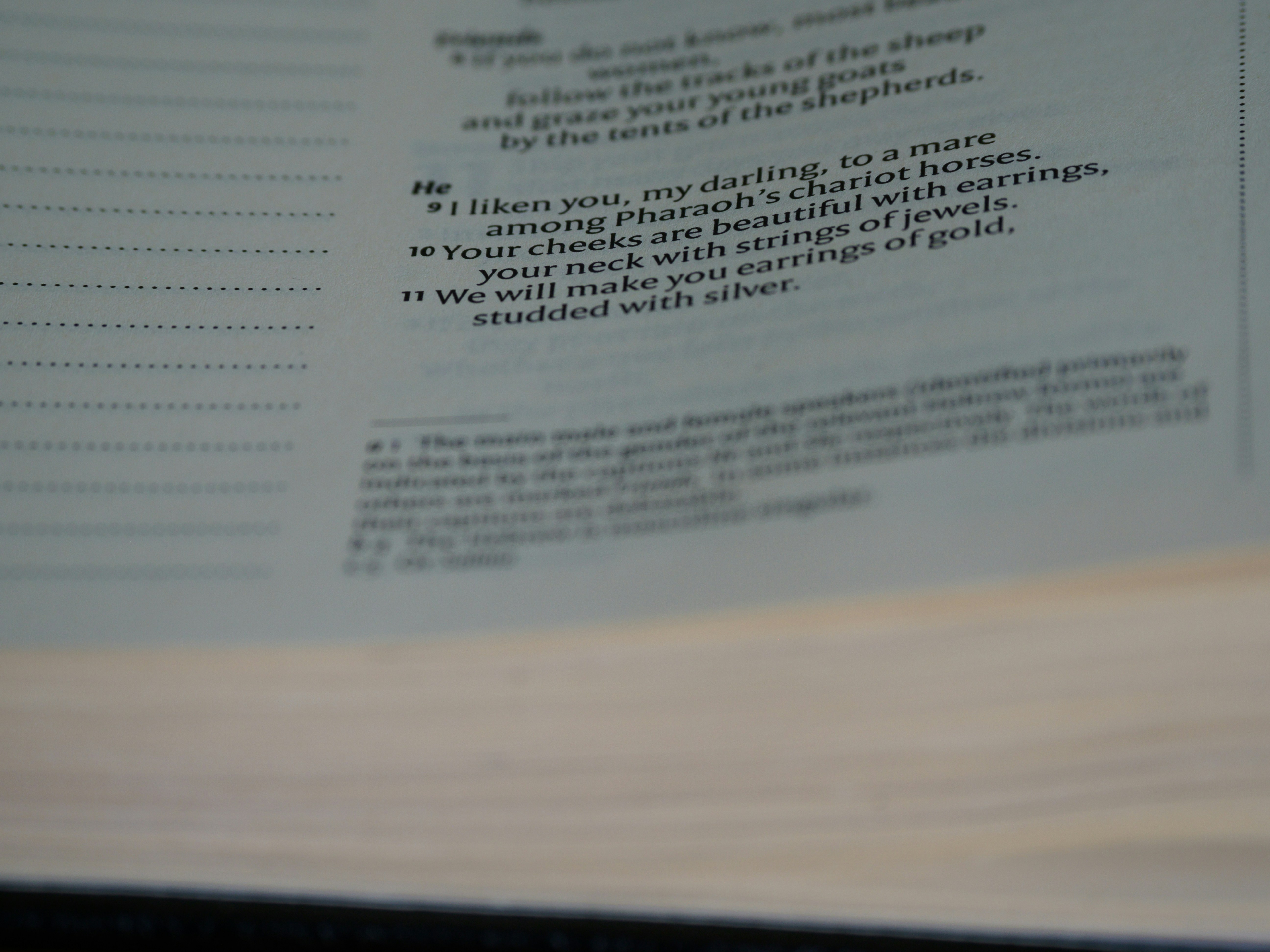 close up, bokeh, macro, blur, blurred background, close focus, bible, old testament, hebrew bible, christian, judaism, history, text, reading, bible study, devotions, text, NIV, New International Version, type, typography, canon, christianity, holy scripture, holy bible, scripture, old testament, hebrew bible, song of songs, שִׁיר הַשִּׁירִים, Šīr hašŠīrīm, ᾎσμα ᾀσμάτων, Âisma āismátōn, canticle of canticles, megillot, tanakh, ketuvim, poem, love poem, love poetry, passover, christ, bride, church, marriage, lovers,